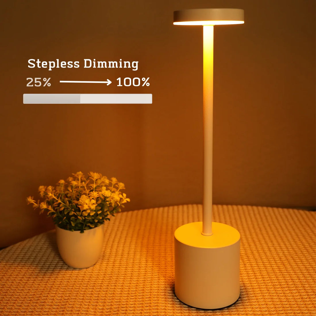 Rechargeable Touch Metal Table Lamp